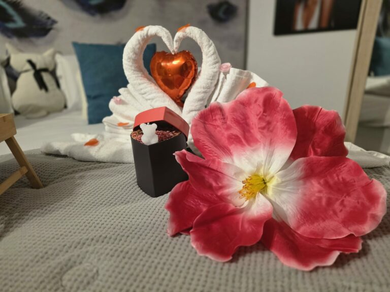 a7659582-81c3-4e6a-9fd1-74e36edd8981